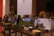 Wystawa fotografii leśnej w gminie Mircze